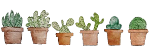 Detail Cactus Tumblr Png Nomer 38