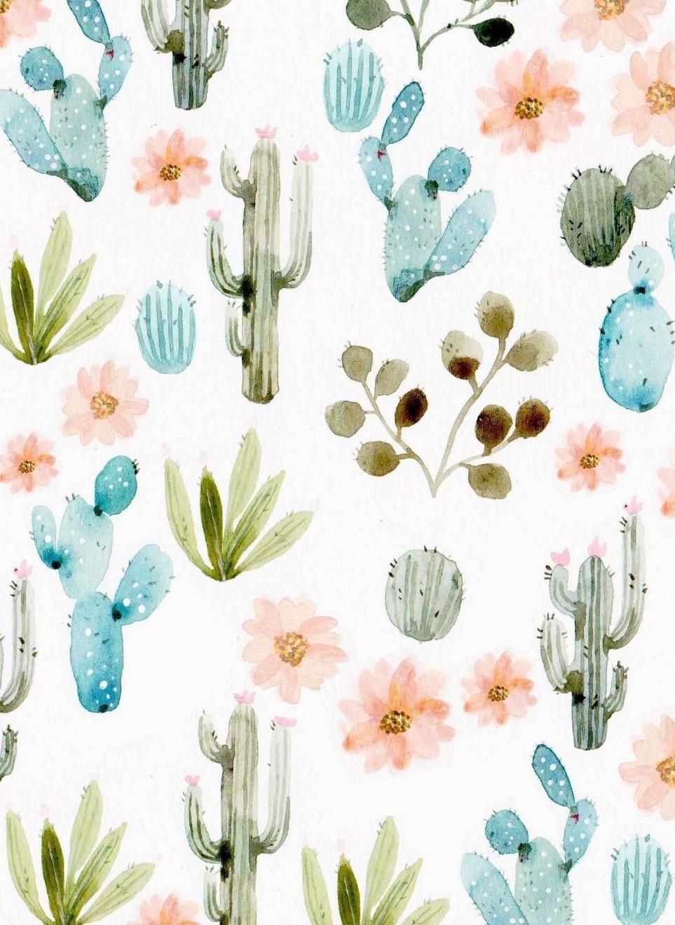 Cactus Tumblr Wallpaper - KibrisPDR