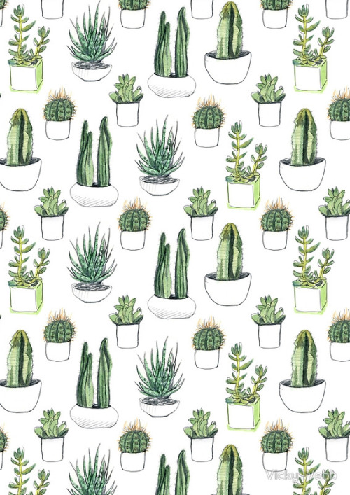 Detail Cactus Tumblr Wallpaper Nomer 13