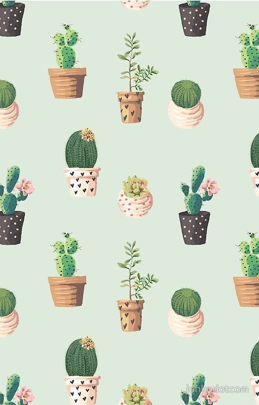 Detail Cactus Tumblr Wallpaper Nomer 18