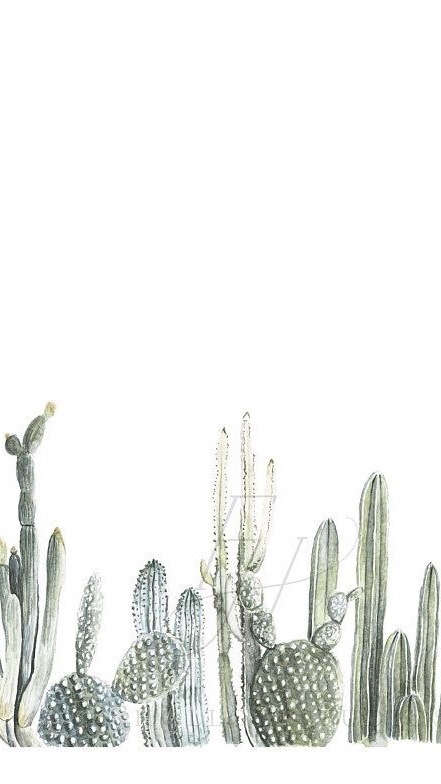 Detail Cactus Tumblr Wallpaper Nomer 26