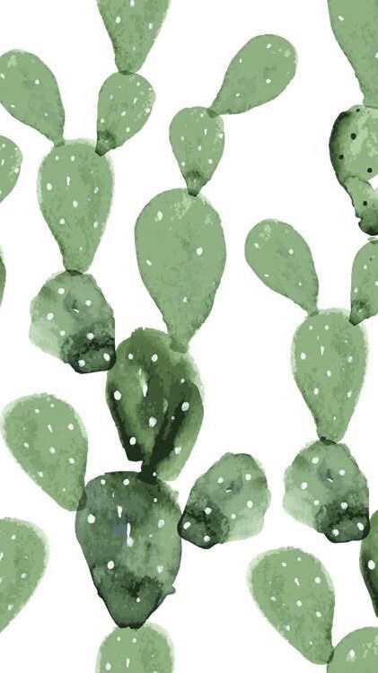Detail Cactus Tumblr Wallpaper Nomer 34