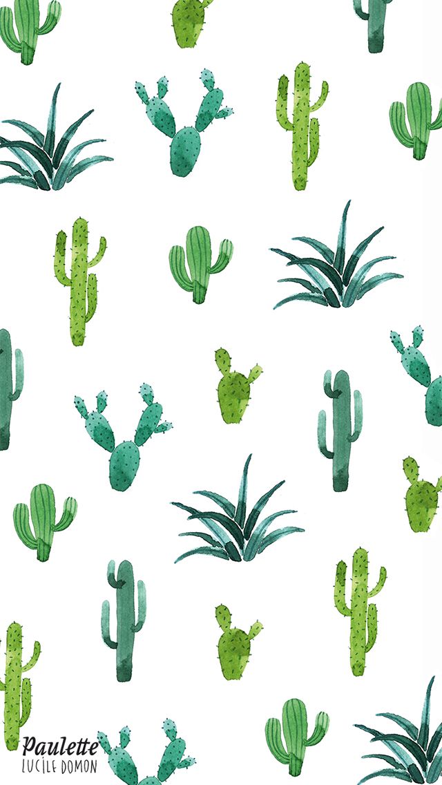 Detail Cactus Tumblr Wallpaper Nomer 50