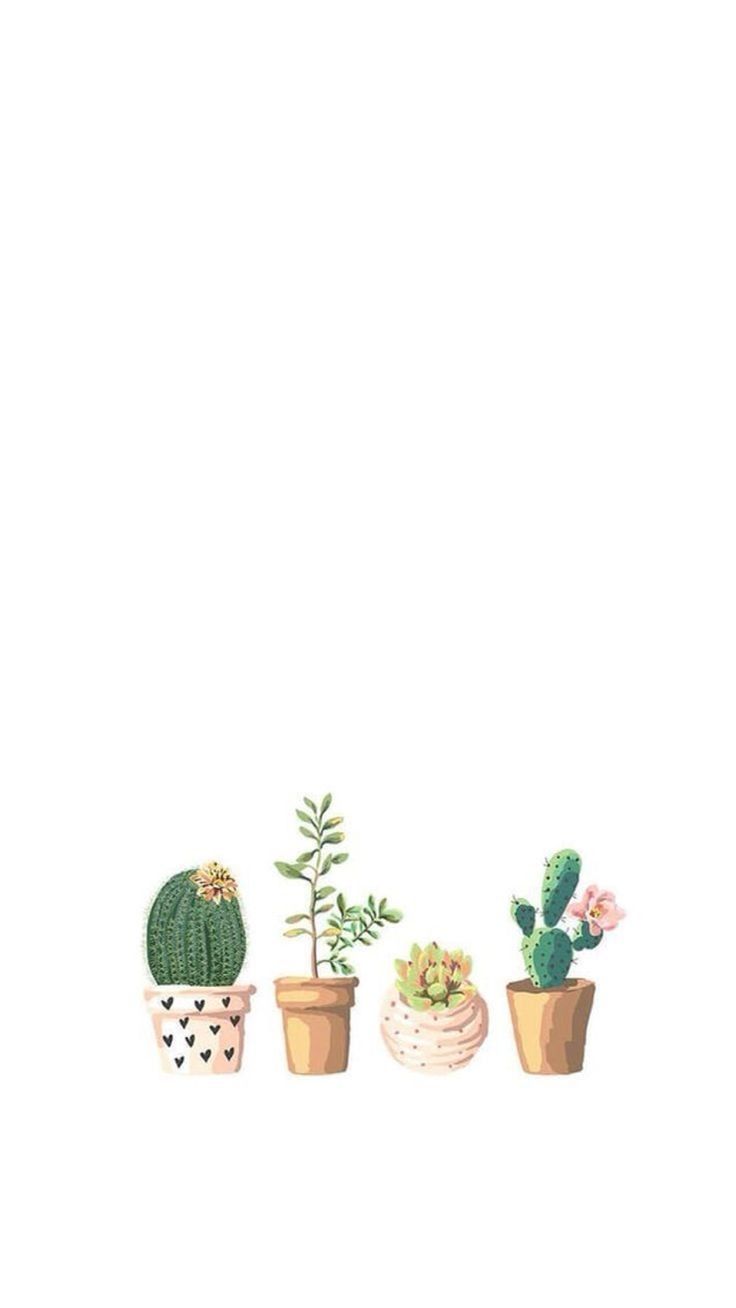 Detail Cactus Tumblr Wallpaper Nomer 7