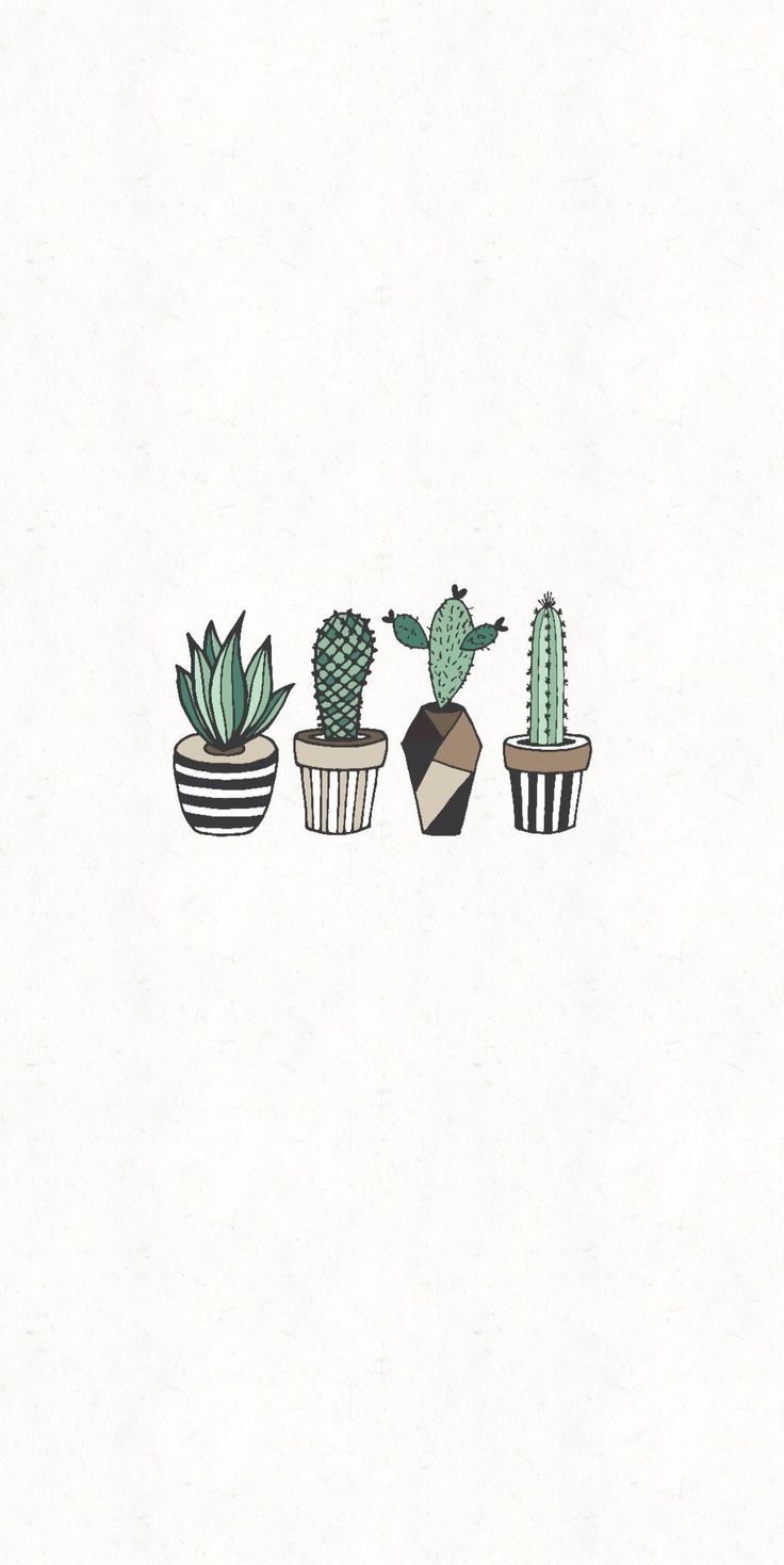 Detail Cactus Tumblr Wallpaper Nomer 9