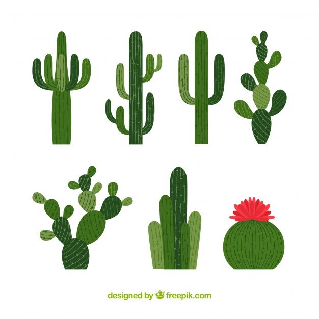 Detail Cactus Vector Free Nomer 22