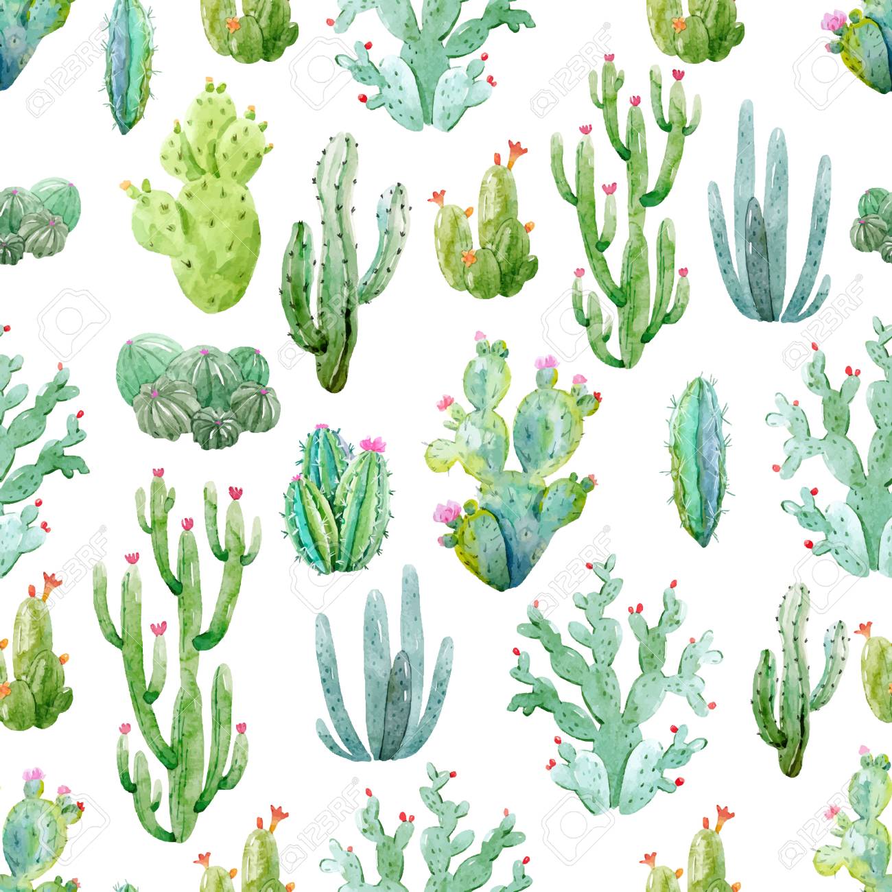 Detail Cactus Vector Free Nomer 42