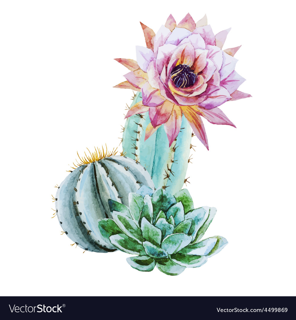 Detail Cactus Vector Free Nomer 48