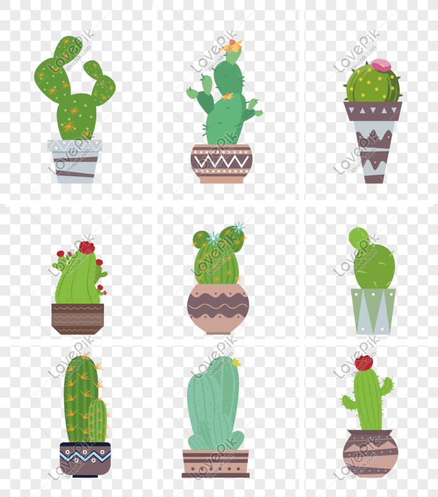 Detail Cactus Vector Free Nomer 50