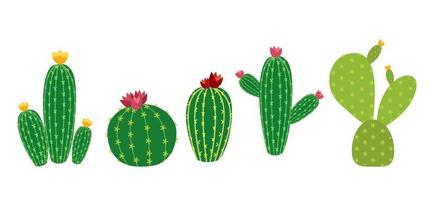 Detail Cactus Vector Free Nomer 55