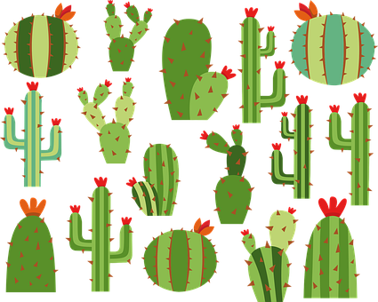 Detail Cactus Vector Images Nomer 5
