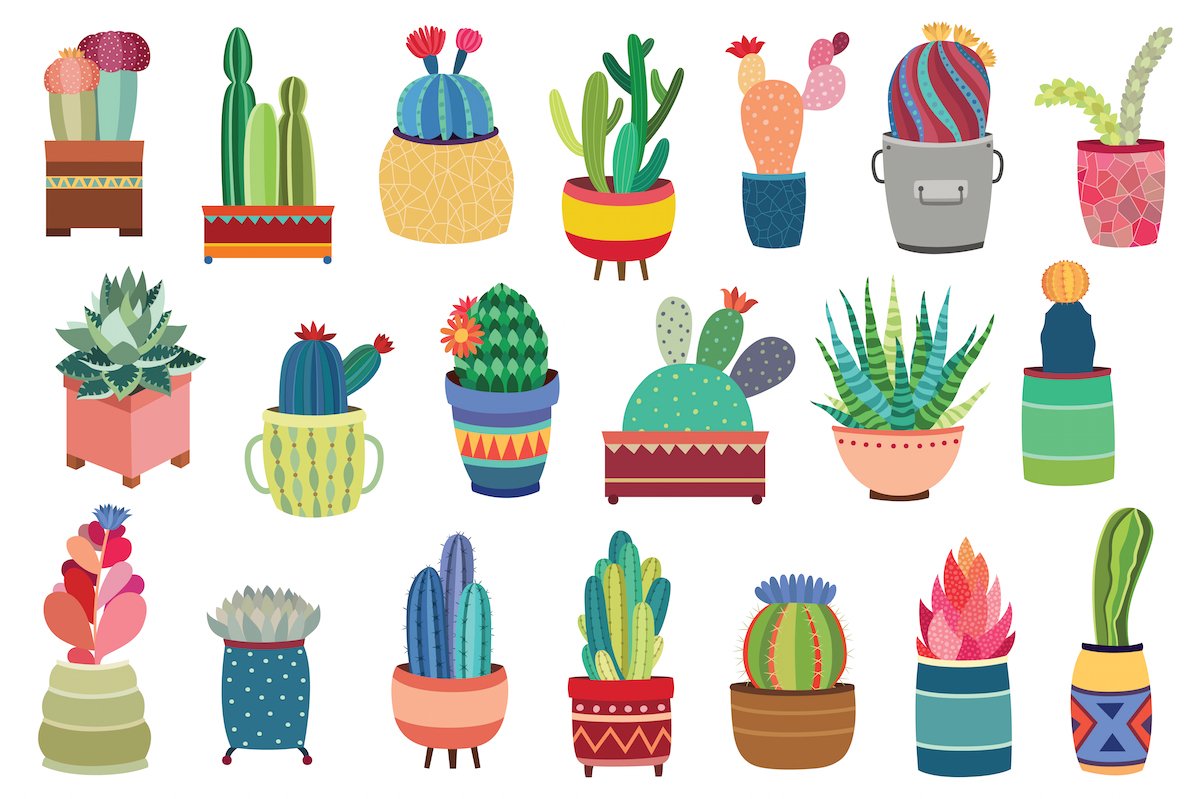 Detail Cactus Vector Png Nomer 12