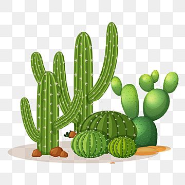 Detail Cactus Vector Png Nomer 44