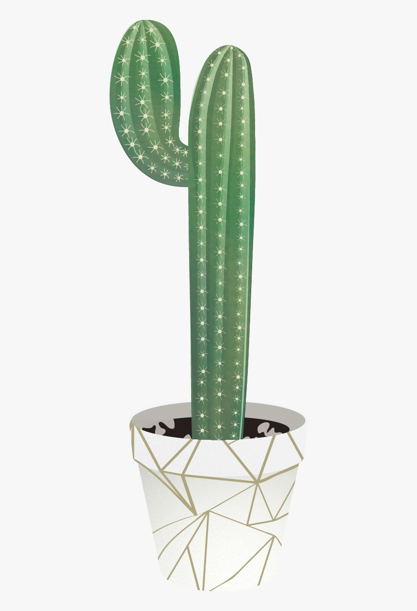 Detail Cactus Vector Png Nomer 52