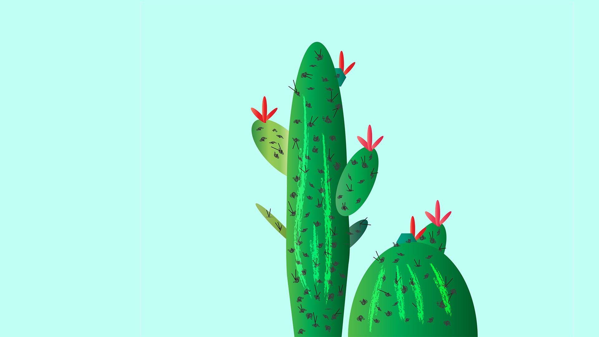 Detail Cactus Wallpaper Hd Nomer 19