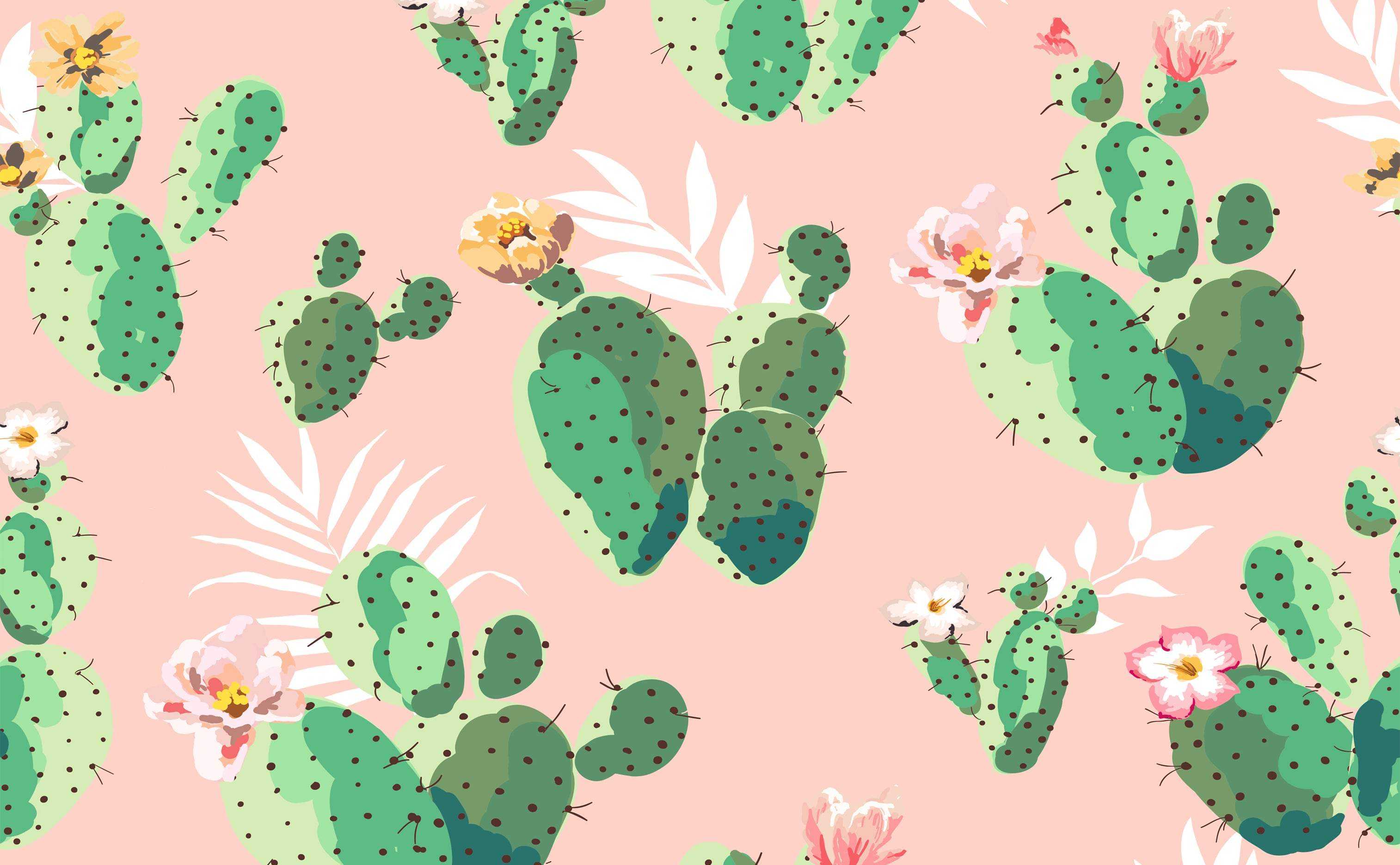 Detail Cactus Wallpaper Hd Nomer 23