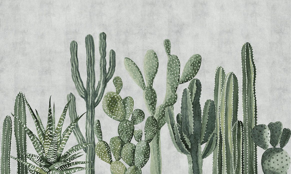 Detail Cactus Wallpaper Hd Nomer 25