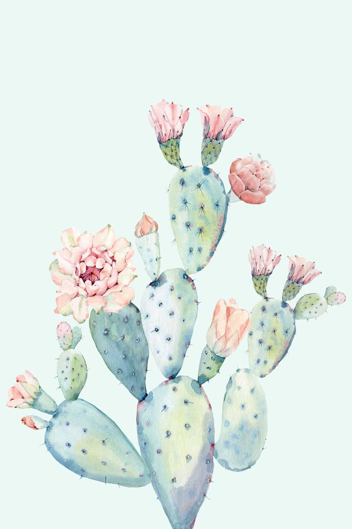 Detail Cactus Wallpaper Hd Nomer 38