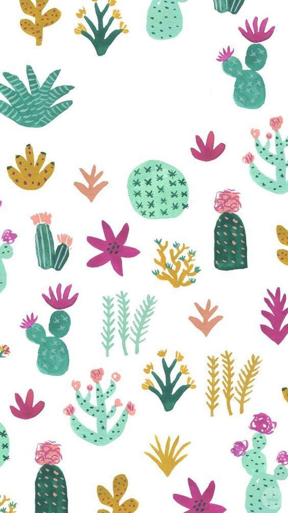 Detail Cactus Wallpaper Hd Nomer 45