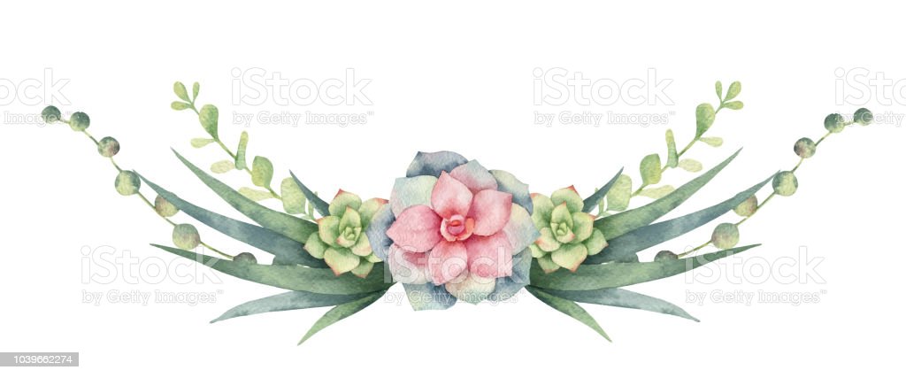 Detail Cactus Wreath Clipart Nomer 44