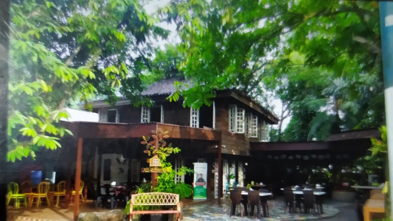 Detail Cafe Rumah Pohon Nomer 35