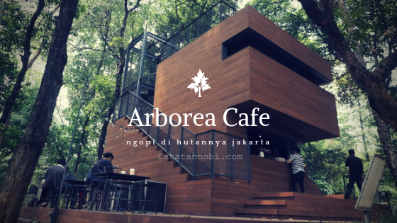 Cafe Rumah Pohon Jakarta - KibrisPDR