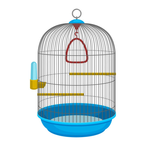 Detail Cage Clipart Nomer 12