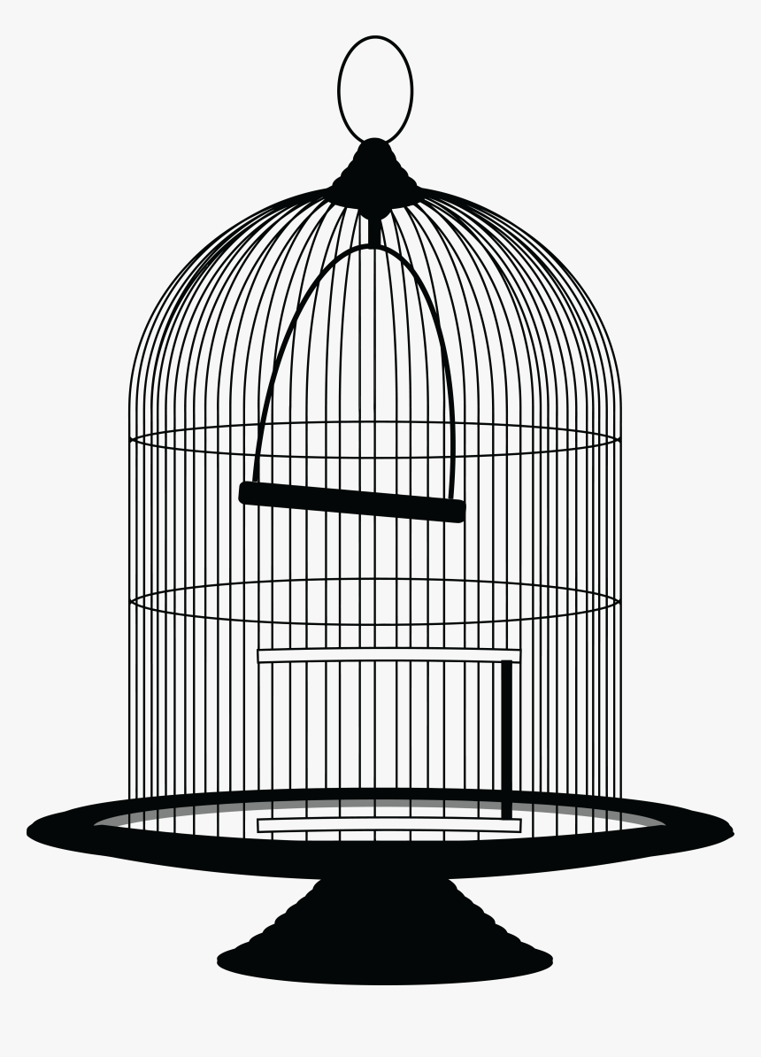 Detail Cage Clipart Nomer 3