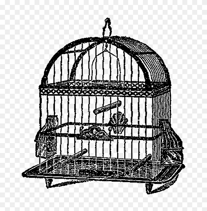 Detail Cage Clipart Nomer 39