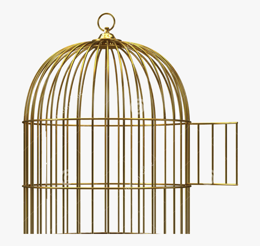 Detail Cage Clipart Nomer 45