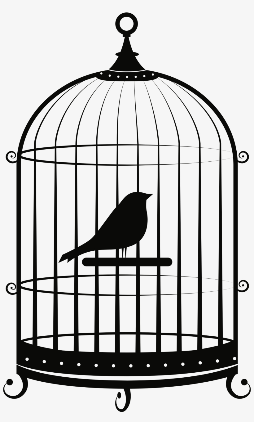 Detail Cage Png Nomer 30