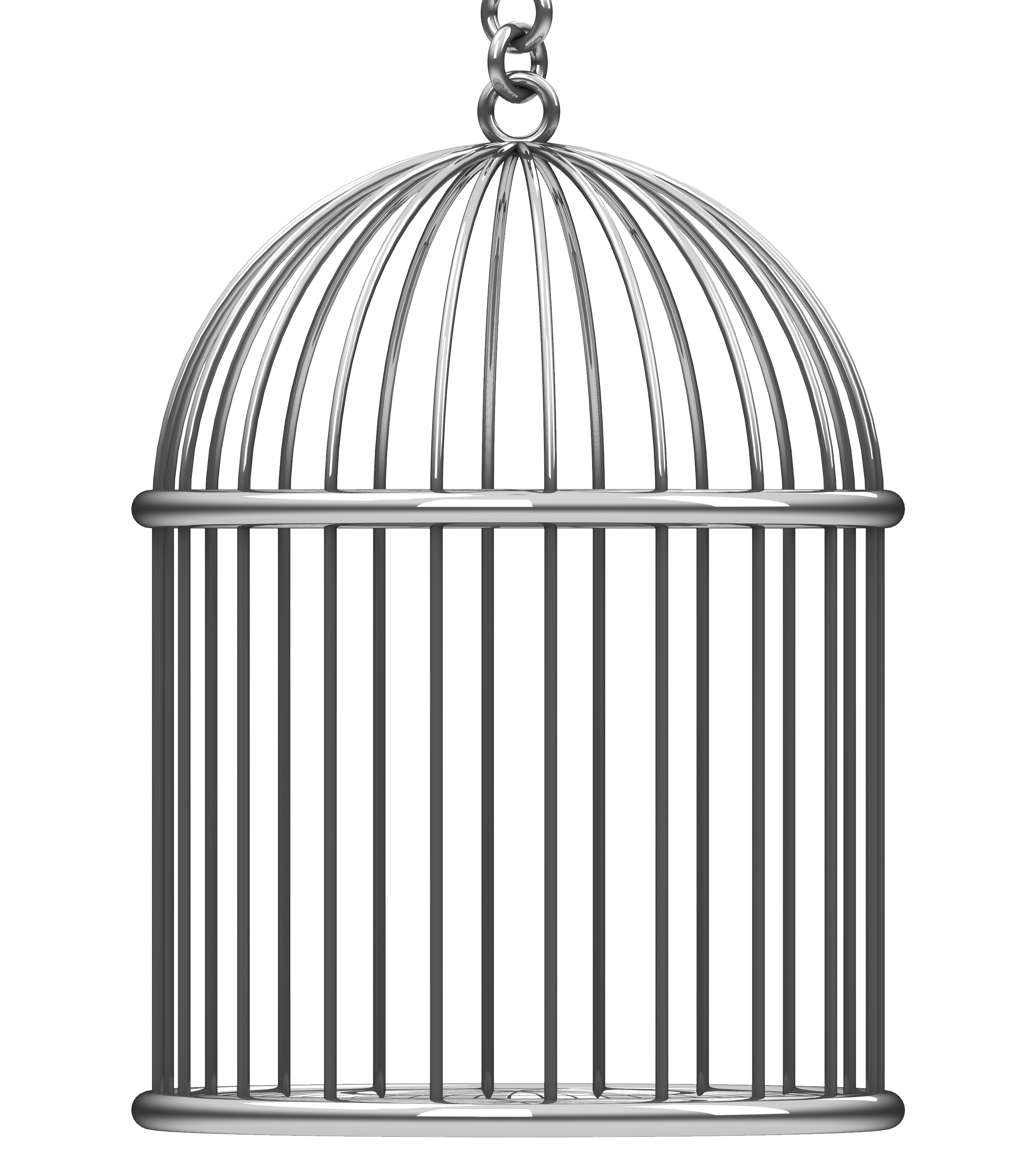 Cage Transparent Background - KibrisPDR