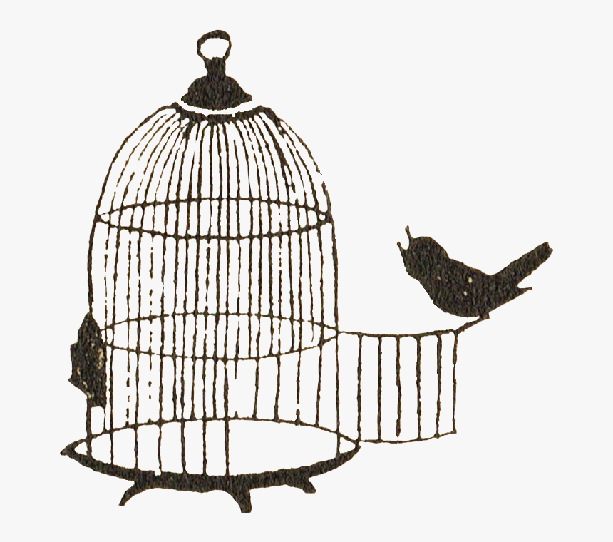 Detail Cage Transparent Background Nomer 46