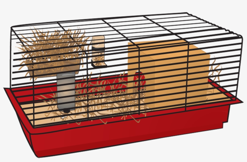 Detail Cage Transparent Background Nomer 47