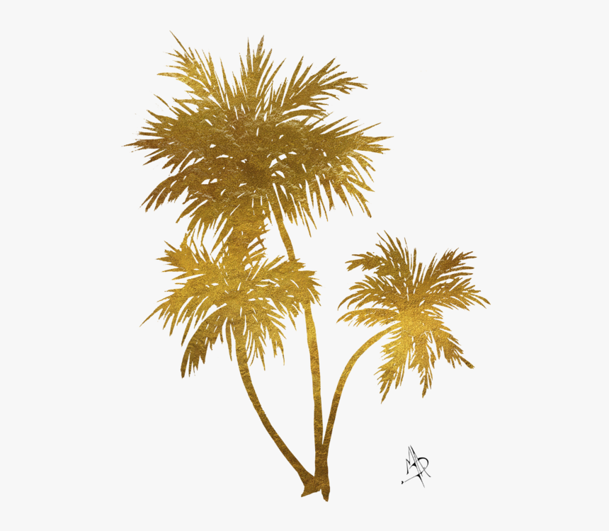 Detail California Palm Trees Png Nomer 45