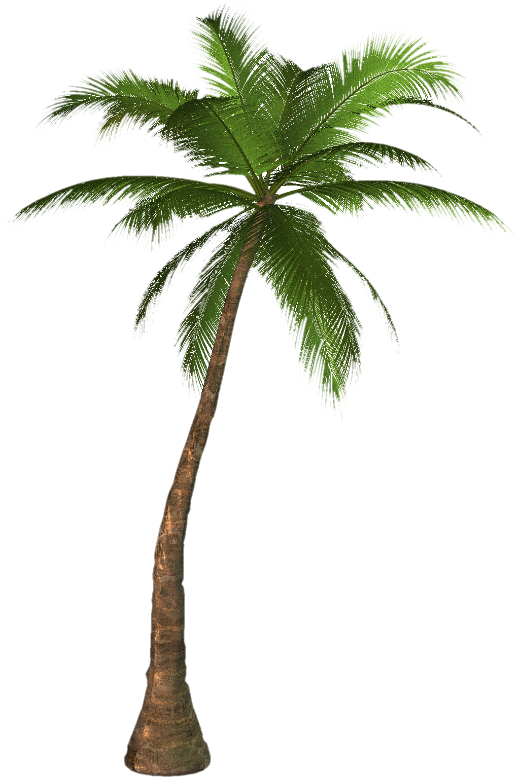 Detail California Palm Trees Png Nomer 6