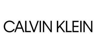 Detail Calvin Klein New Logo Nomer 4