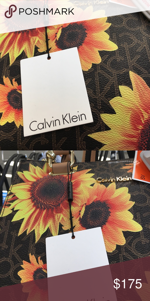Detail Calvin Klein Sunflower Nomer 46