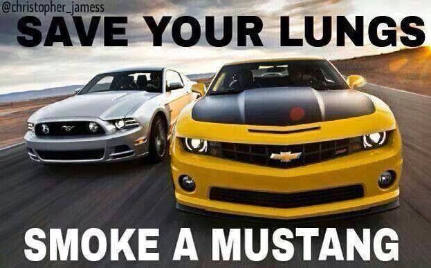 Detail Camaro Vs Mustang Memes Nomer 19