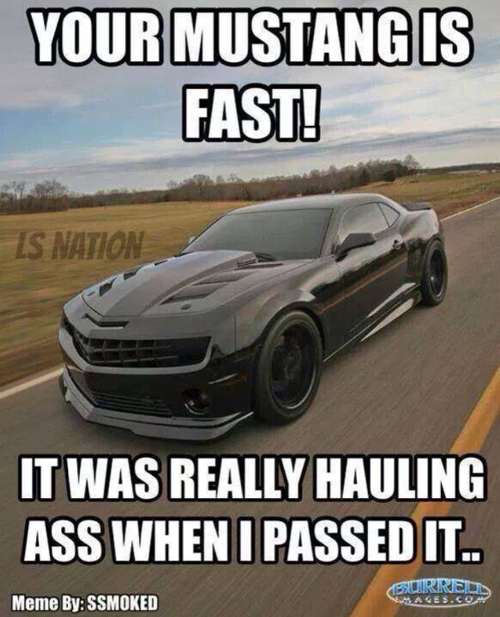 Detail Camaro Vs Mustang Memes Nomer 22