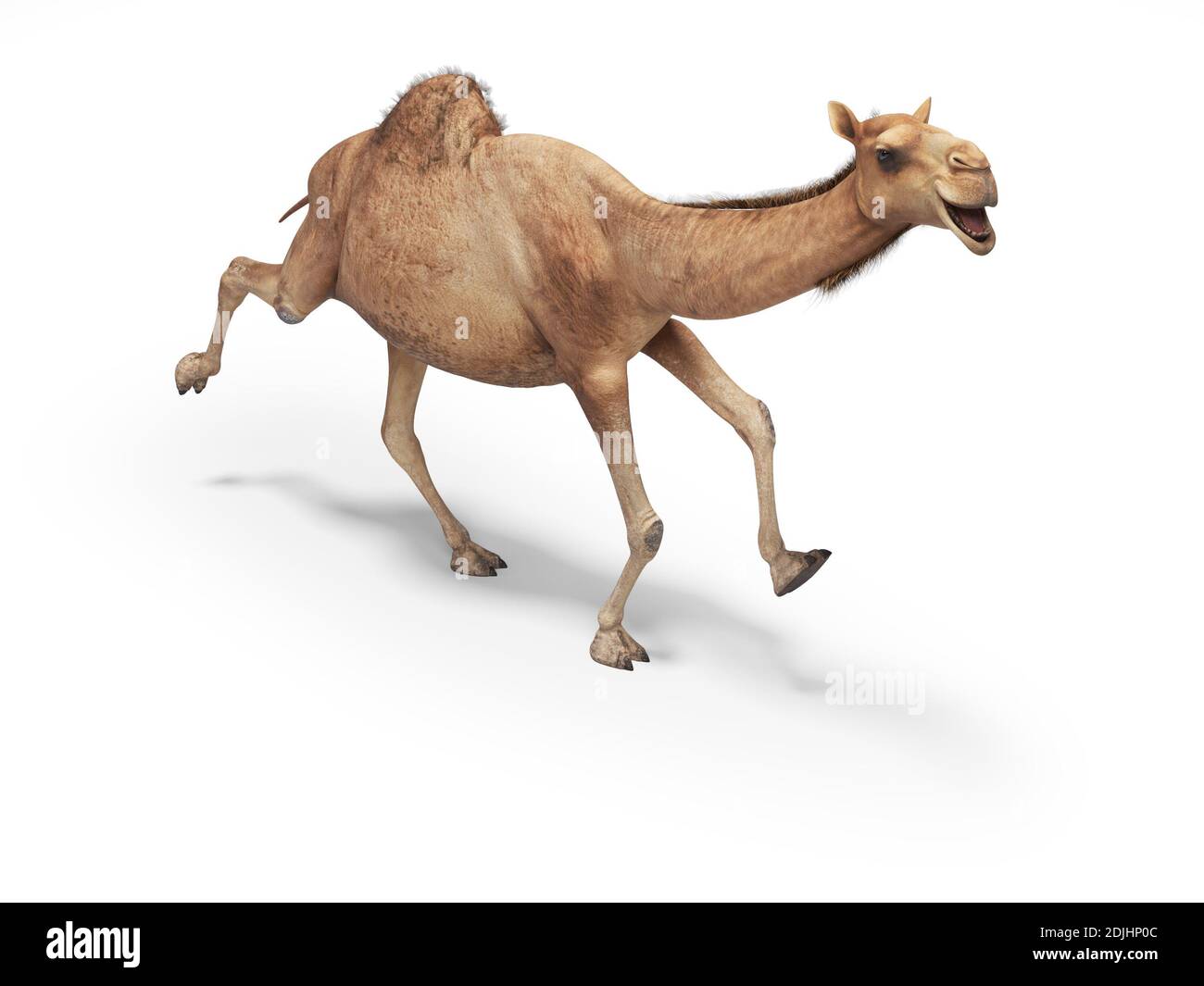 Detail Camel Background Nomer 34