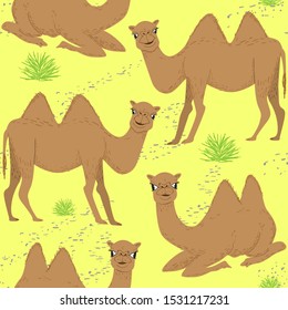 Detail Camel Background Nomer 44