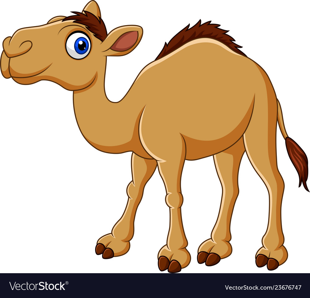 Detail Camel Background Nomer 47