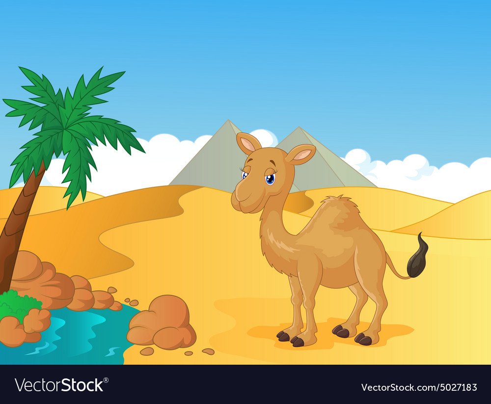 Detail Camel Background Nomer 49