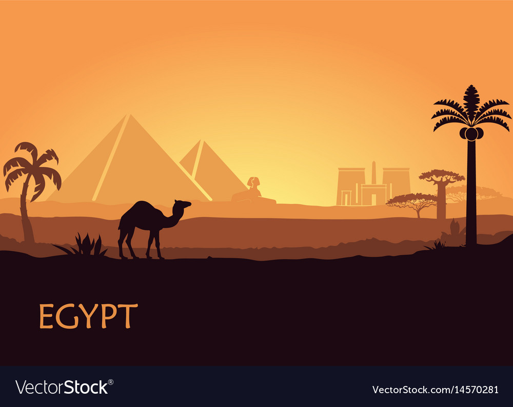 Detail Camel Background Nomer 52