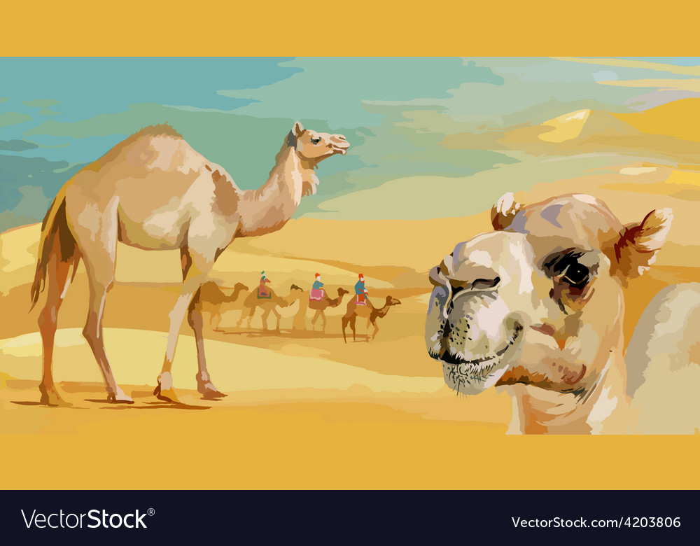 Detail Camel Background Nomer 8