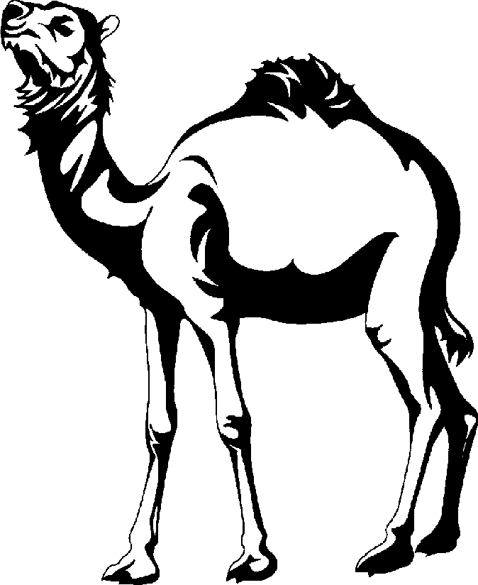 Detail Camel Black And White Clipart Nomer 12