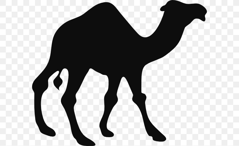 Detail Camel Black And White Clipart Nomer 23