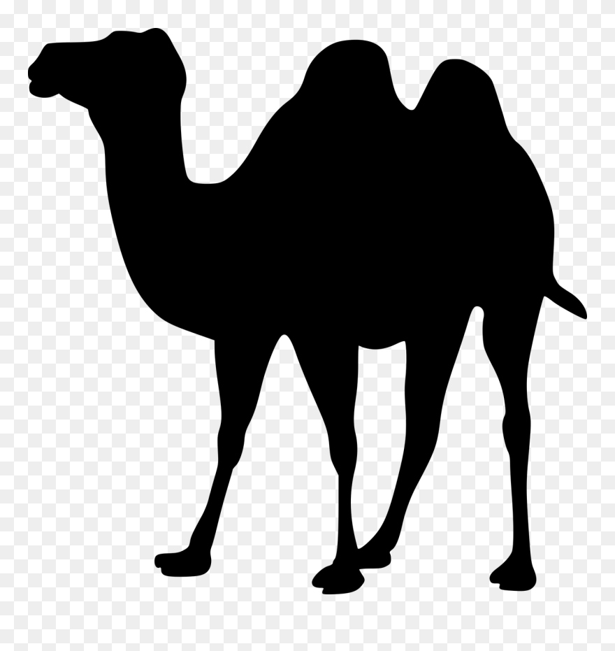 Detail Camel Black And White Clipart Nomer 27