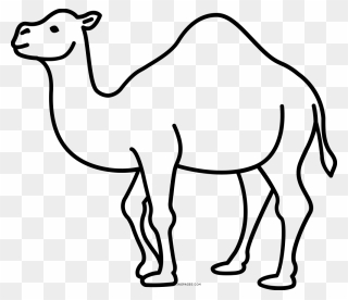 Detail Camel Black And White Clipart Nomer 40